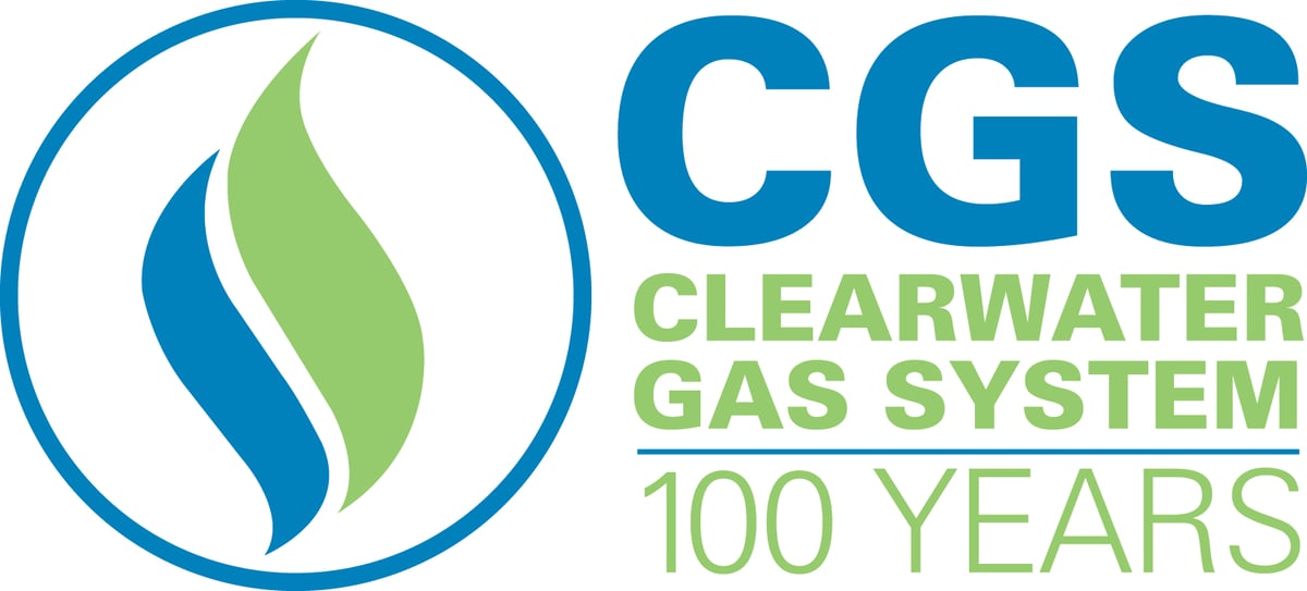 CGS 100 YEARS Logo Full Color